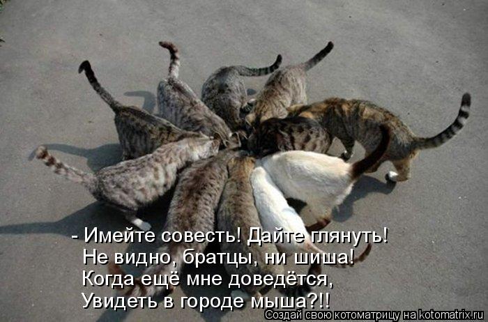 - Имейте совесть! Дайте глянуть! Не видно, братцы, ни шиша! Когда ещё мне доведётся, Увидеть в городе... Котоматрица: - Имейте совесть! Дайте глянуть! Не видно, братцы, ни шиша! Когда ещё мне доведётся, Увидеть в городе мыша?!!