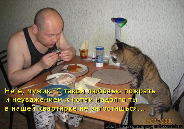 Котоматрица: Не-е, мужик! С такой любовью пожрать и неуважением к котам надолго ты в нашей квартирке не загостишься...