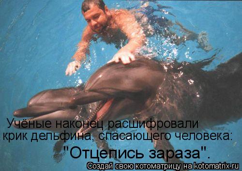 Учёные наконец расшифровали крик дельфина, спасающего человека: "Отцепись зараза".... Котоматрица: Учёные наконец расшифровали крик дельфина, спасающего человека: "Отцепись зараза".