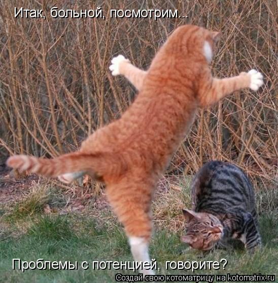 Котоматрица: Итак, больной, посмотрим... Проблемы с потенцией, говорите?