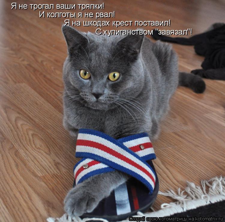Котоматрица: Я не трогал ваши тряпки! И колготы я не рвал! Я на шкодах крест поставил! С хулиганством "завязал"!