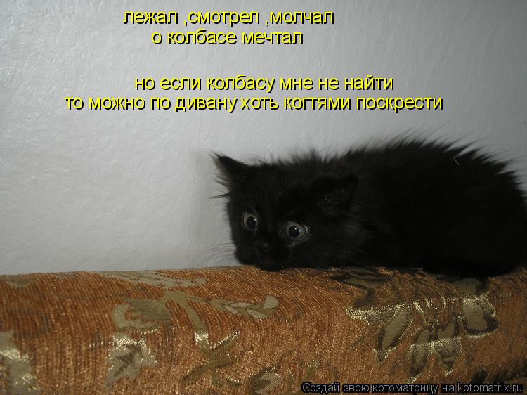 Котоматрица: лежал ,смотрел ,молчал о колбасе мечтал но если колбасу мне не найти то можно по дивану хоть когтями поскрести