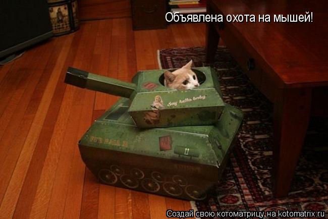 Котоматрица: Объявлена охота на мышей!