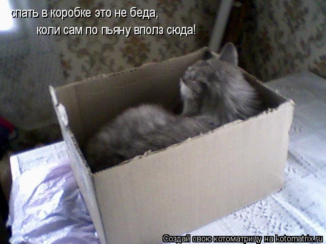 Котоматрица: спать в коробке это не беда, коли сам по пьяну вполз сюда спать в коробке это не беда, коли сам по пьяну вполз сюда спать в коробке это не беда