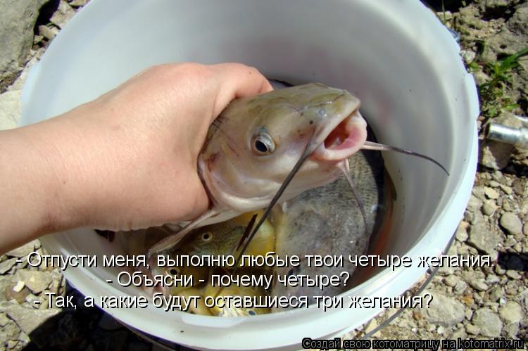 Котоматрица: - Отпусти меня, выполню любые твои четыре желания.    - Объясни - почему четыре?    - Так, а какие будут оставшиеся три желания? - Отпусти меня, вып