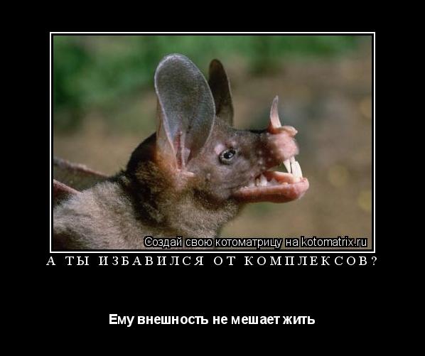А ты избавился от комплексов? Ему внешность не мешает жить... Котоматрица: А ты избавился от комплексов? Ему внешность не мешает жить