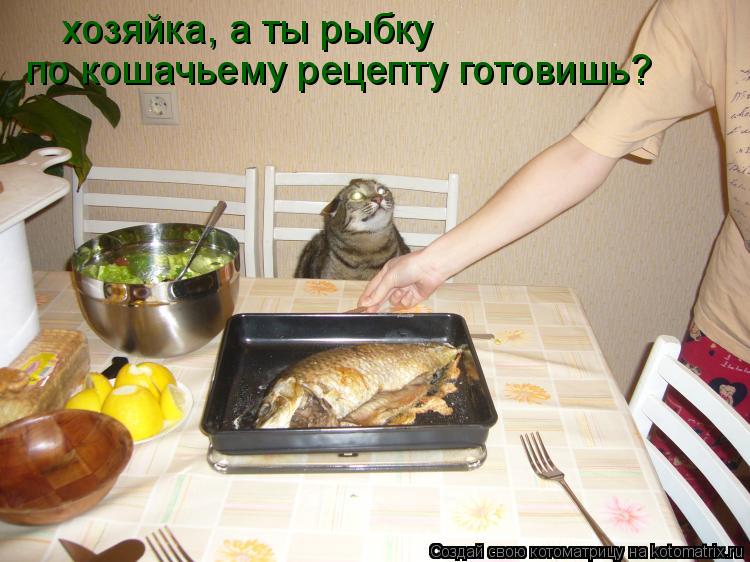 Котоматрица: хозяйка, а ты рыбку   по кошачьему рецепту готовишь?
