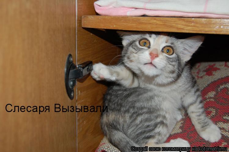 Котоматрица: Слесаря Вызывали