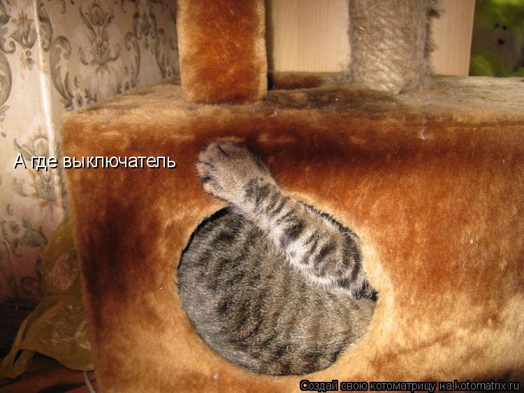 Котоматрица: А где выключатель