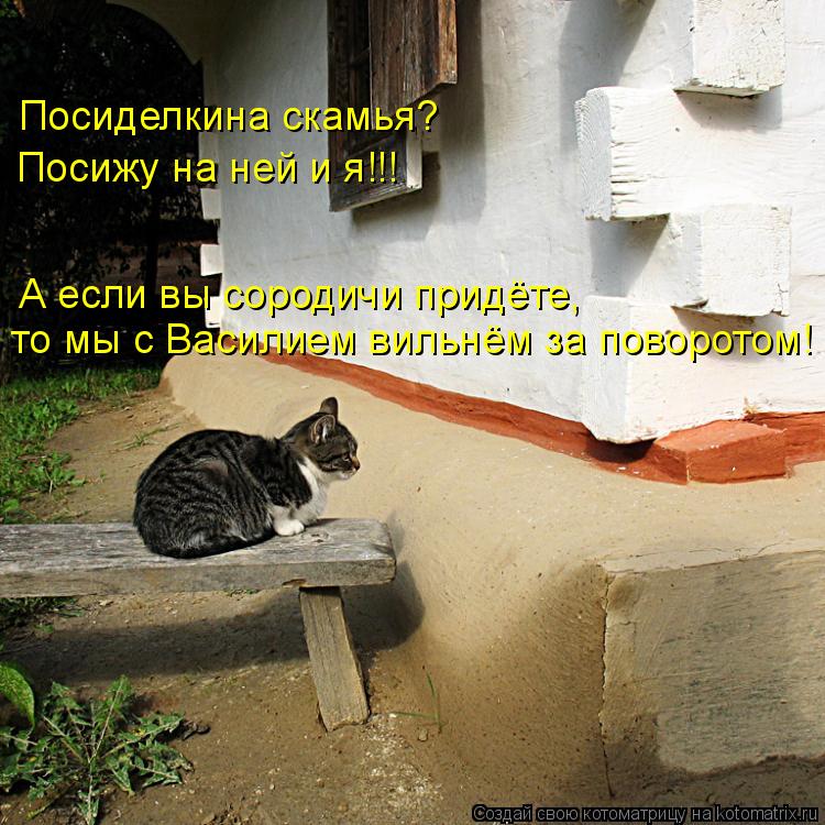 Котоматрица: Посиделкина скамья? Посижу на ней и я!!! А если вы сородичи придёте, то мы с Василием вильнём за поворотом!