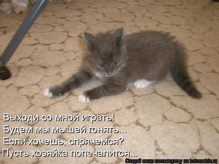 Выходи со мной играть! Будем мы мышей гонять... Если хочешь, спрячемся? Пусть хозяйка попечалится...... Котоматрица: Выходи со мной играть! Будем мы мышей гонять... Если хочешь, спрячемся? Пусть хозяйка попечалится...