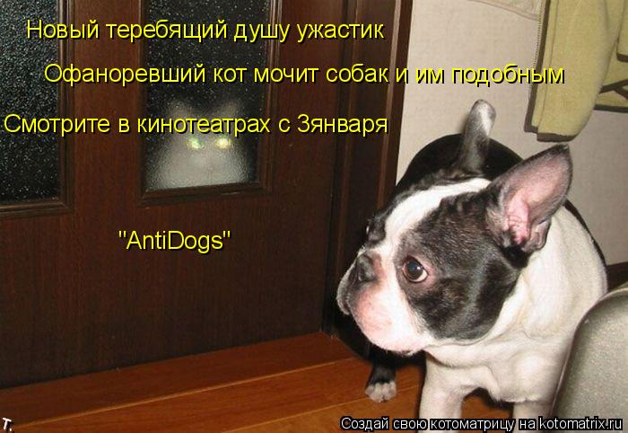 Новый теребящий душу ужастик Офаноревший кот мочит собак и им подобным Смотрите в кинотеатрах с 3янв... Котоматрица: Новый теребящий душу ужастик Офаноревший кот мочит собак и им подобным Смотрите в кинотеатрах с 3января "AntiDogs"