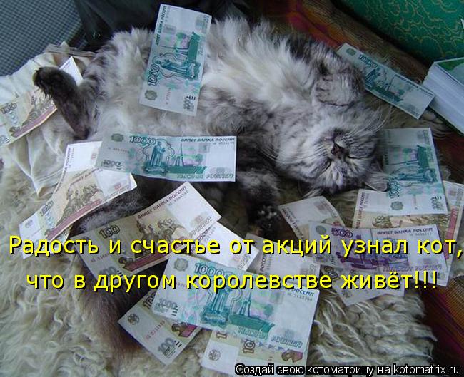 Радость и счастье от акций узнал кот, что в другом королевстве живёт!!!... Котоматрица: Радость и счастье от акций узнал кот, что в другом королевстве живёт!!!
