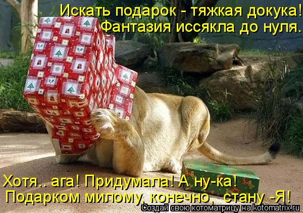 Котоматрица: Искать подарок - тяжкая докука!   Фантазия иссякла до нуля. Хотя.. ага! Придумала! А ну-ка!  Подарком милому, конечно,  стану -Я!
