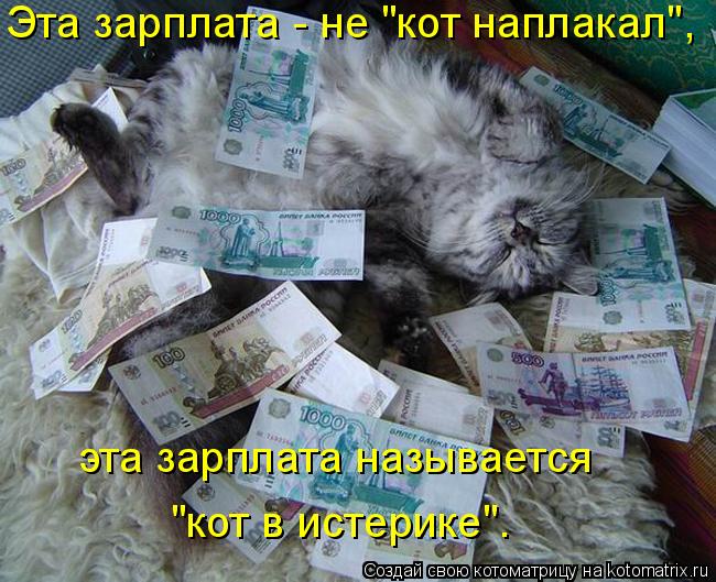 Котоматрица: Эта зарплата - не "кот наплакал",  эта зарплата называется "кот в истерике".