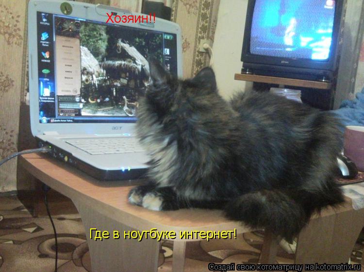Котоматрица: Хозяин!! Где в ноутбуке интернет!