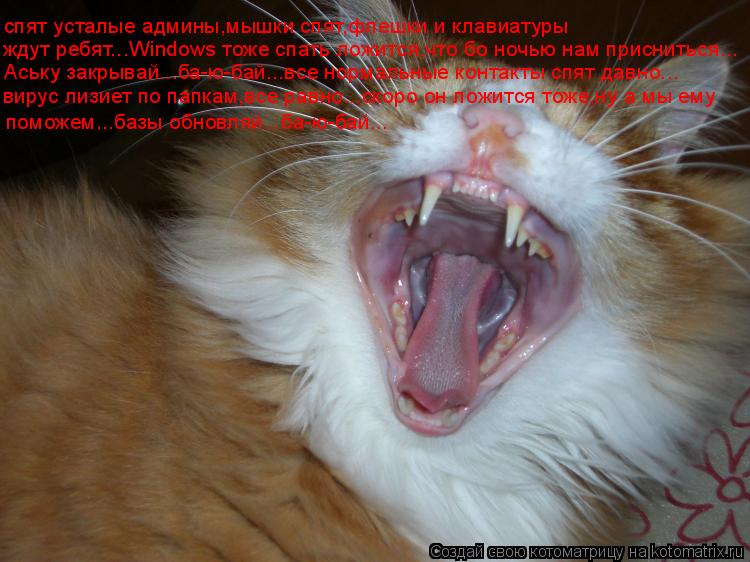 спят усталые админы,мышки спят,флешки и клавиатуры ждут ребят...Windows тоже спать ложится,что бо ноч... Котоматрица: спят усталые админы,мышки спят,флешки и клавиатуры ждут ребят...Windows тоже спать ложится,что бо ночью нам присниться... Аську закрывай...ба-ю-ба