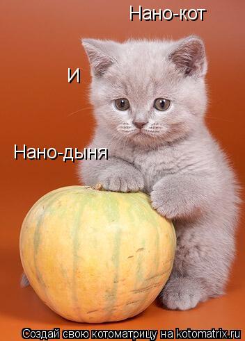Нано-кот Нано-дыня И... Котоматрица: Нано-кот Нано-дыня И