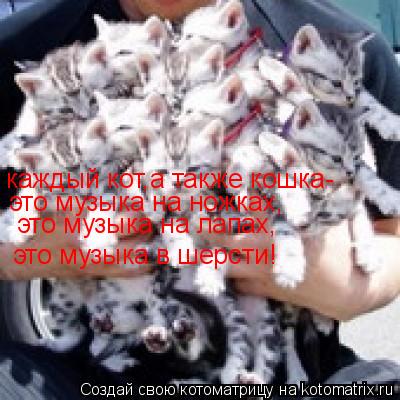 каждый кот,а также кошка- это музыка на ножках, это музыка на лапах, это музыка в шерсти!... Котоматрица: каждый кот,а также кошка- это музыка на ножках, это музыка на лапах, это музыка в шерсти!