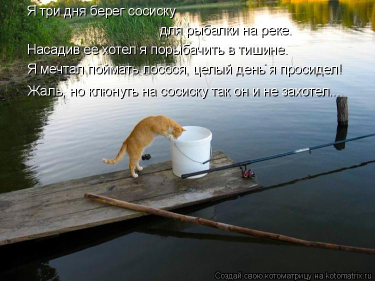 Я три дня берег сосиску для рыбалки на реке. Насадив ее хотел я порыбачить в тишине. Я мечтал поймать... Котоматрица: Я три дня берег сосиску для рыбалки на реке. Насадив ее хотел я порыбачить в тишине. Я мечтал поймать лосося, целый день я просидел! Жаль, но к