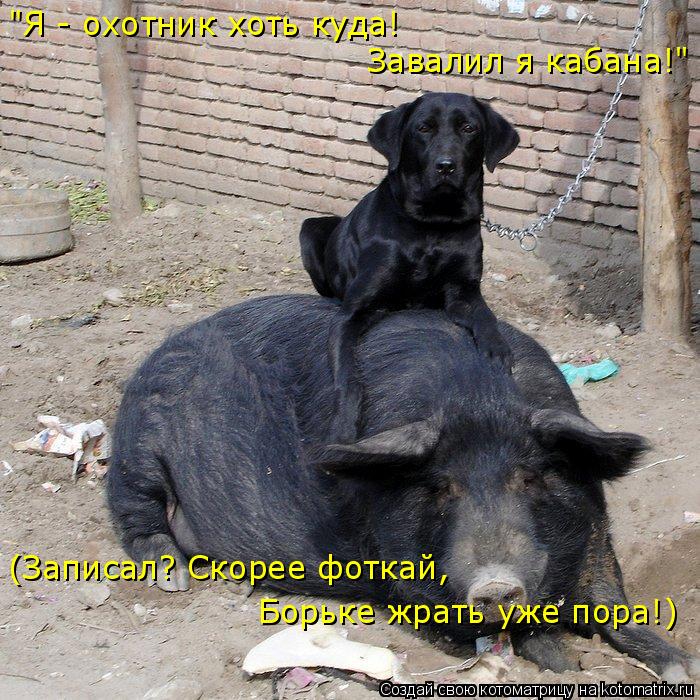 Котоматрица: "Я - охотник хоть куда! Завалил я кабана!" (Записал? Скорее фоткай, Борьке жрать уже пора!)