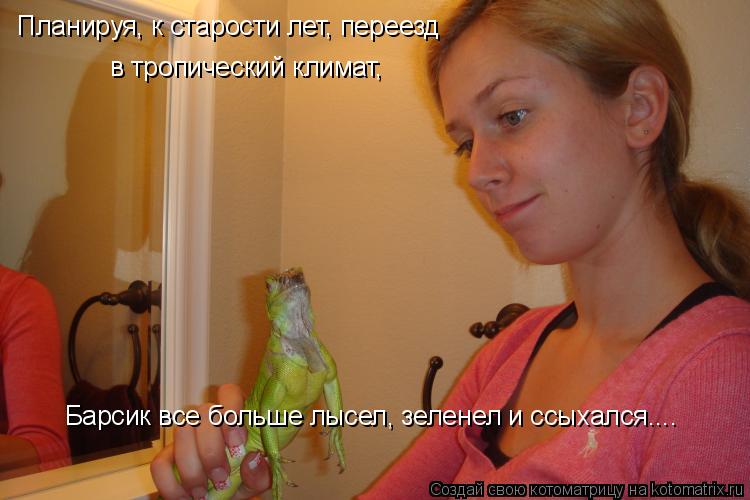 в тропический климат, Барсик все больше лысел, зеленел и ссыхался.... Планируя, к старости лет, перее... Котоматрица: в тропический климат, Барсик все больше лысел, зеленел и ссыхался.... Планируя, к старости лет, переезд