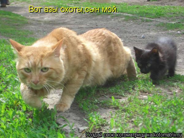 Вот азы охоты,сын мой.... Котоматрица: Вот азы охоты,сын мой.