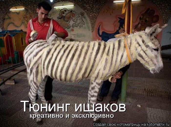 Тюнинг ишаков креативно и эксклюзивно... Котоматрица: Тюнинг ишаков креативно и эксклюзивно