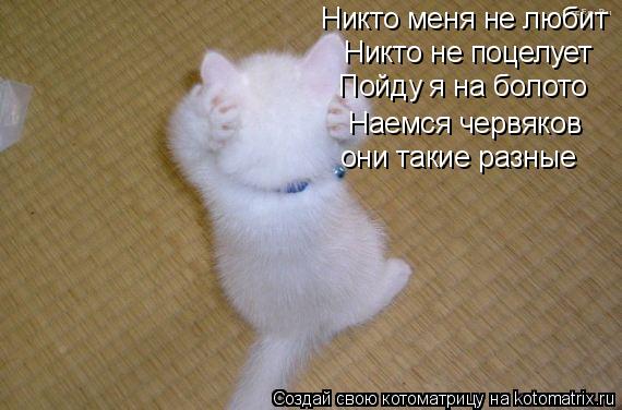 Никто меня не любит Никто не поцелует Пойду я на болото Наемся червяков они такие разные... Котоматрица: Никто меня не любит Никто не поцелует Пойду я на болото Наемся червяков они такие разные