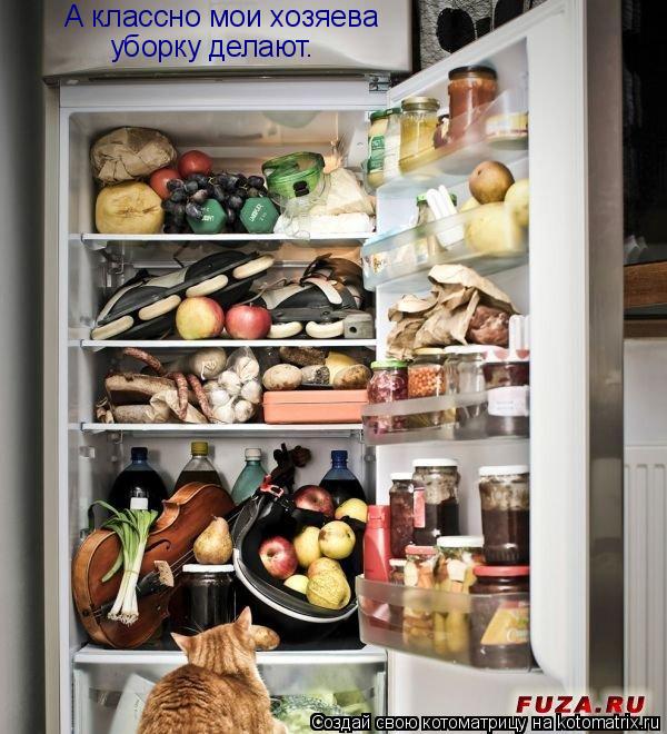 А классно мои хозяева уборку делают.... Котоматрица: А классно мои хозяева уборку делают.