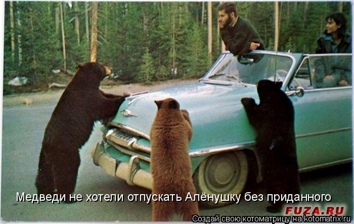 Котоматрица: Медведи не хотели отпускать Алёнушку без приданного