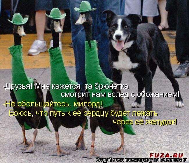 -Друзья! Мне кажется, та брюнетка смотрит нам вслед с обожанием! -Не обольщайтесь, милорд! Боюсь, что... Котоматрица: -Друзья! Мне кажется, та брюнетка смотрит нам вслед с обожанием! -Не обольщайтесь, милорд! Боюсь, что путь к её сердцу будет лежать через её же