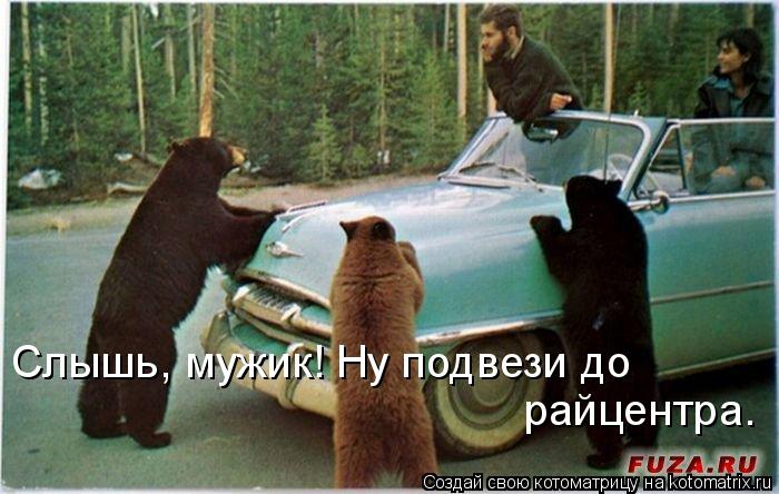 Слышь, мужик! Ну подвези до райцентра.... Котоматрица: Слышь, мужик! Ну подвези до райцентра.