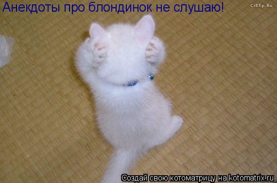 Анекдоты про блондинок не слушаю!... Котоматрица: Анекдоты про блондинок не слушаю!