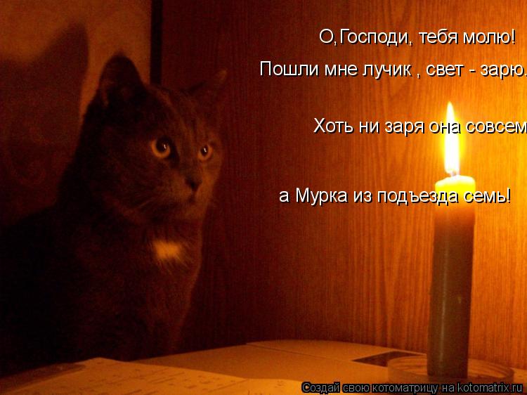 О,Господи, тебя молю! Пошли мне лучик , свет - зарю. Хоть ни заря она совсем а Мурка из подъезда семь... Котоматрица: О,Господи, тебя молю! Пошли мне лучик , свет - зарю. Хоть ни заря она совсем а Мурка из подъезда семь!
