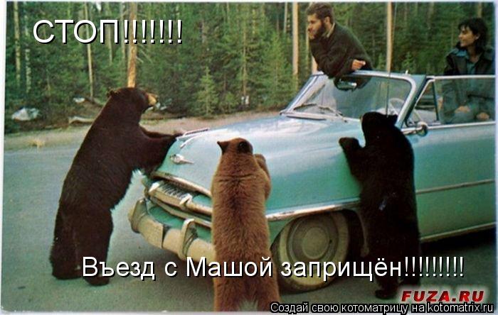 Котоматрица: СТОП!!!!!!! Въезд с Машой заприщён!!!!!!!!!