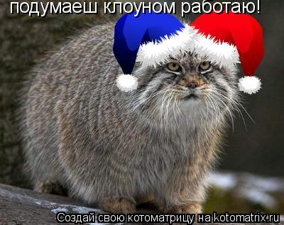 Котоматрица: подумаеш клоуном работаю!