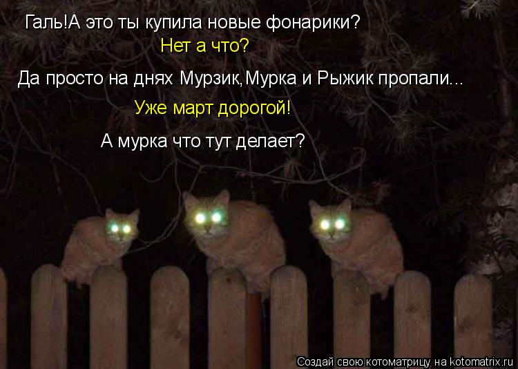 Котоматрица: Галь!А это ты купила новые фонарики? Нет а что? Да просто на днях Мурзик,Мурка и Рыжик пропали... Уже март дорогой! А мурка что тут делает?