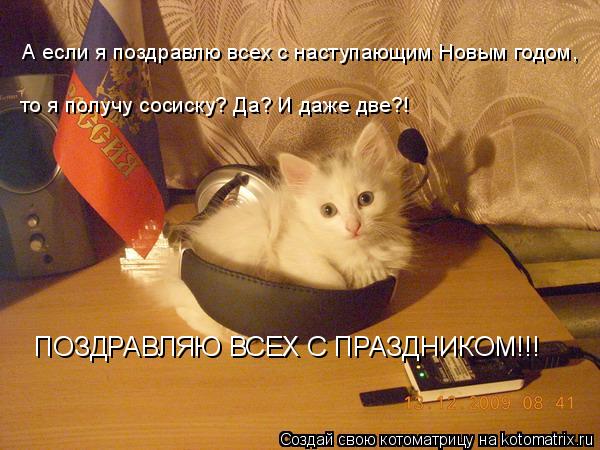 Котоматрица: А если я поздравлю всех с наступающим Новым годом, то я получу сосиску? Да? И даже две?! ПОЗДРАВЛЯЮ ВСЕХ С ПРАЗДНИКОМ!!!