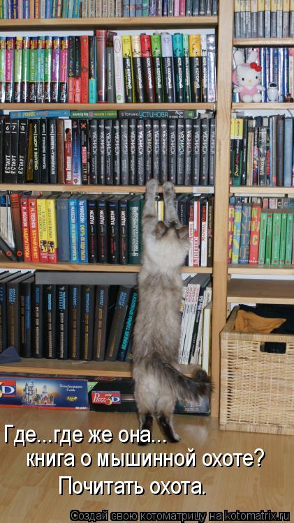 Котоматрица: Где...где же она...  книга о мышинной охоте? Почитать охота.
