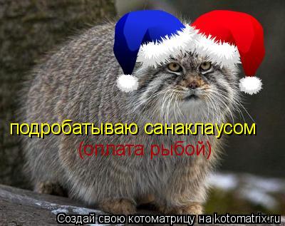 Котоматрица: подробатываю санаклаусом (оплата рыбой)