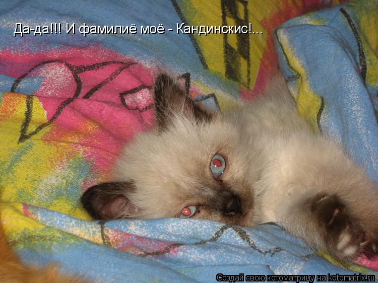 Котоматрица: Да-да!!! И фамилиё моё - Кандинскис!...