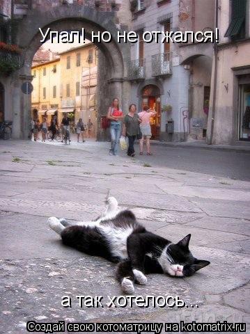 Котоматрица: Упал! но не отжался! а так хотелось...