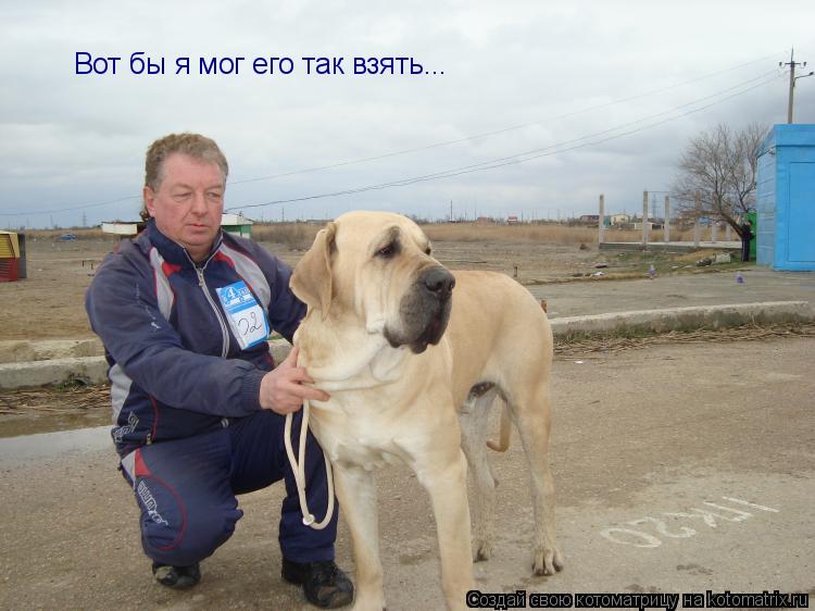 Котоматрица: Вот бы я мог его так взять...