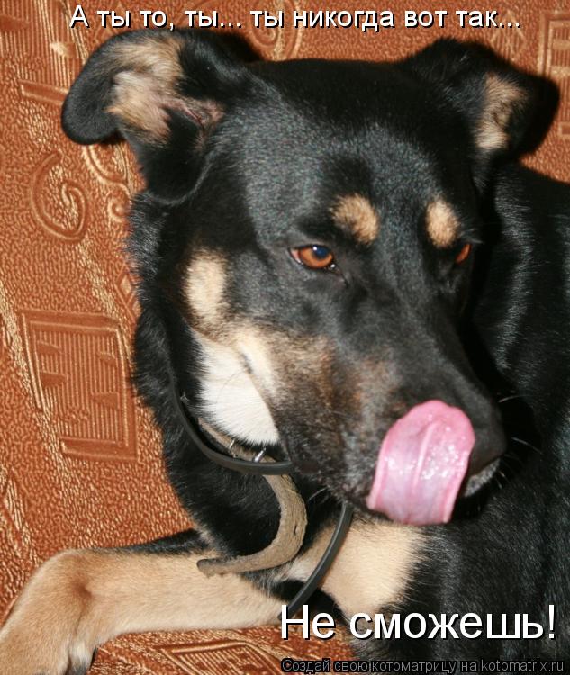Котоматрица: А ты то, ты... ты никогда вот так... Не сможешь!