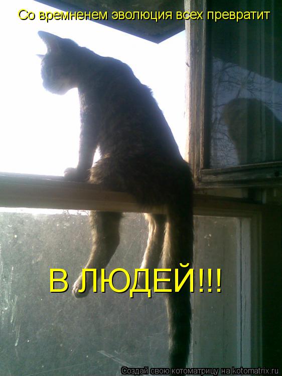 Котоматрица: Со времненем эволюция всех превратит  В ЛЮДЕЙ!!!