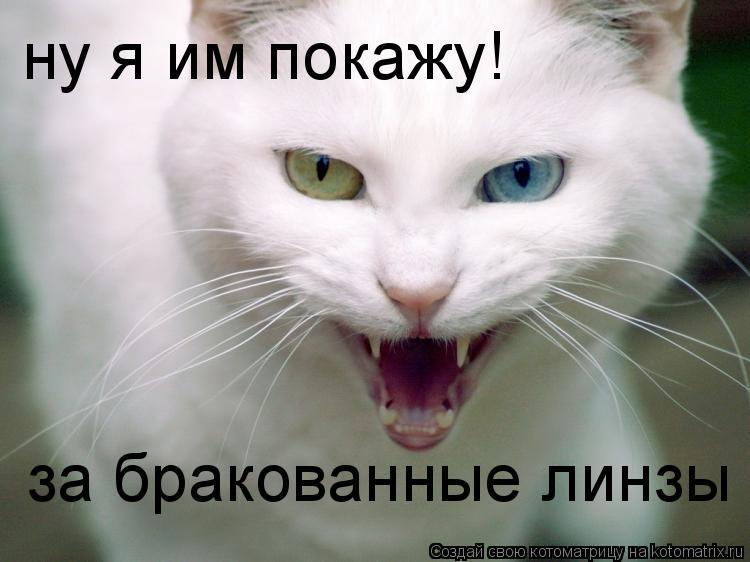 Котоматрица: ну я им покажу! за бракованные линзы