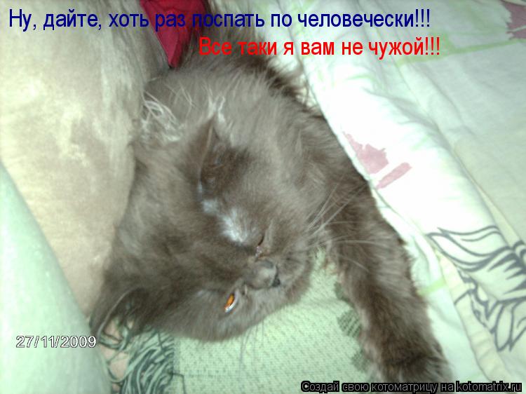 Котоматрица: Ну, дайте, хоть раз поспать по человечески!!! Все таки я вам не чужой!!!