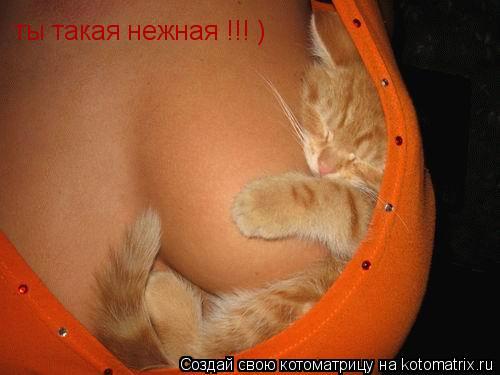 Котоматрица: ты такая нежная !!! )
