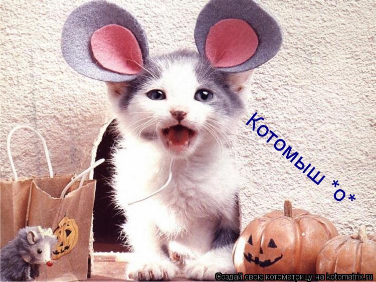 Котоматрица: Котомыш *о*